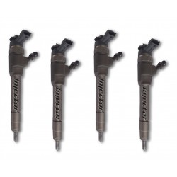 0445110250 BOSCH Vstreky použité