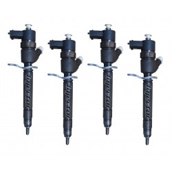 870018 BOSCH Vstreky použité