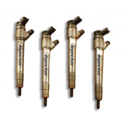 0445110747 BOSCH Vstreky použité