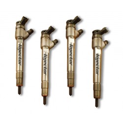 0445110747 BOSCH Vstreky použité