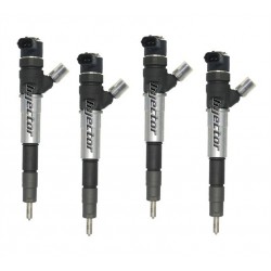 166005070R BOSCH Vstreky nové