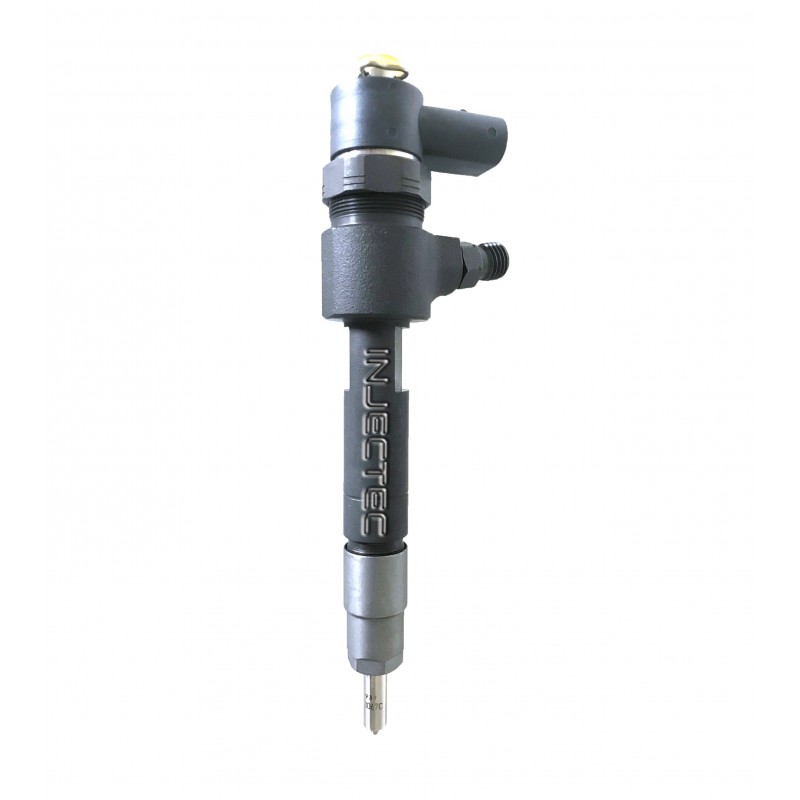 MWM New Bosch Injector