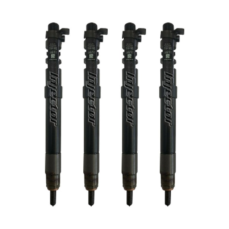Ford Galaxy 2.0 TDCi 85 KW 115 HP DELPHI 1681997 kit di 4 iniettori usati 9M5Q9F593BA