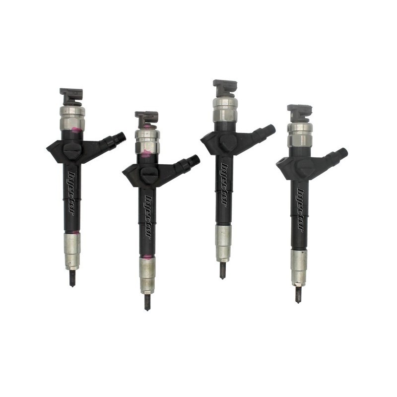 Nissan Almera tino 2.2 dCi 84 KW 115 HP DENSO 16600-AU600 kit di 4 iniettori usati 16600AU600