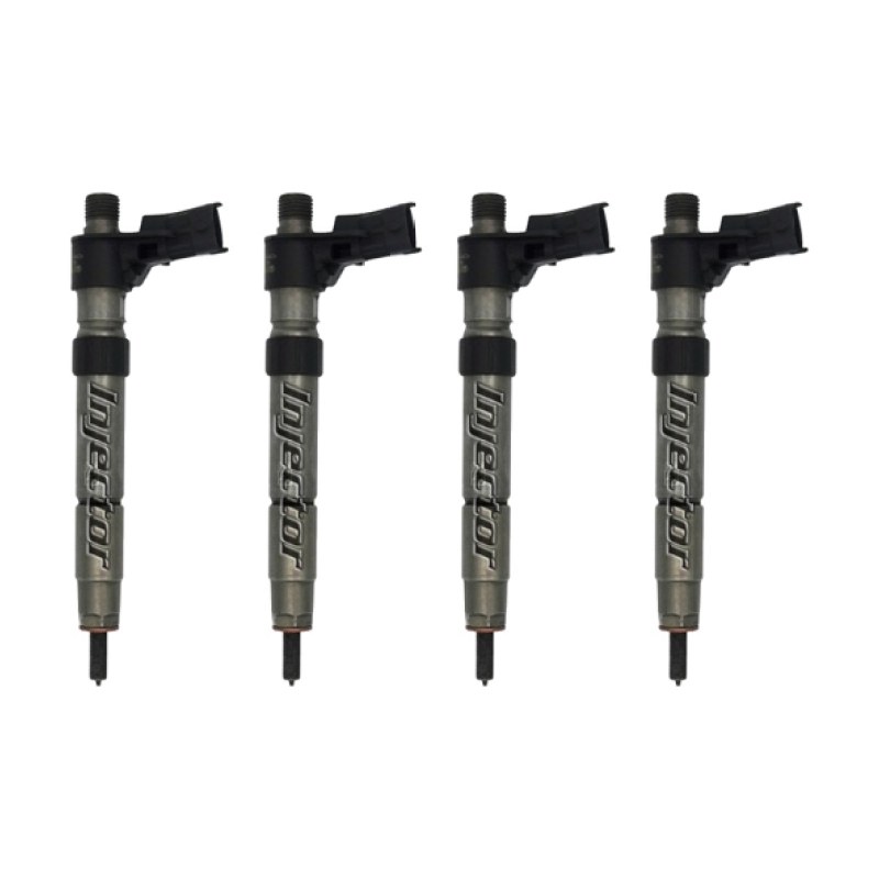 Land Rover Range evoque 2.2 D 4x4 140 KW 190 HP kit di 4 iniettori usati BOSCH LR056367, LR031849