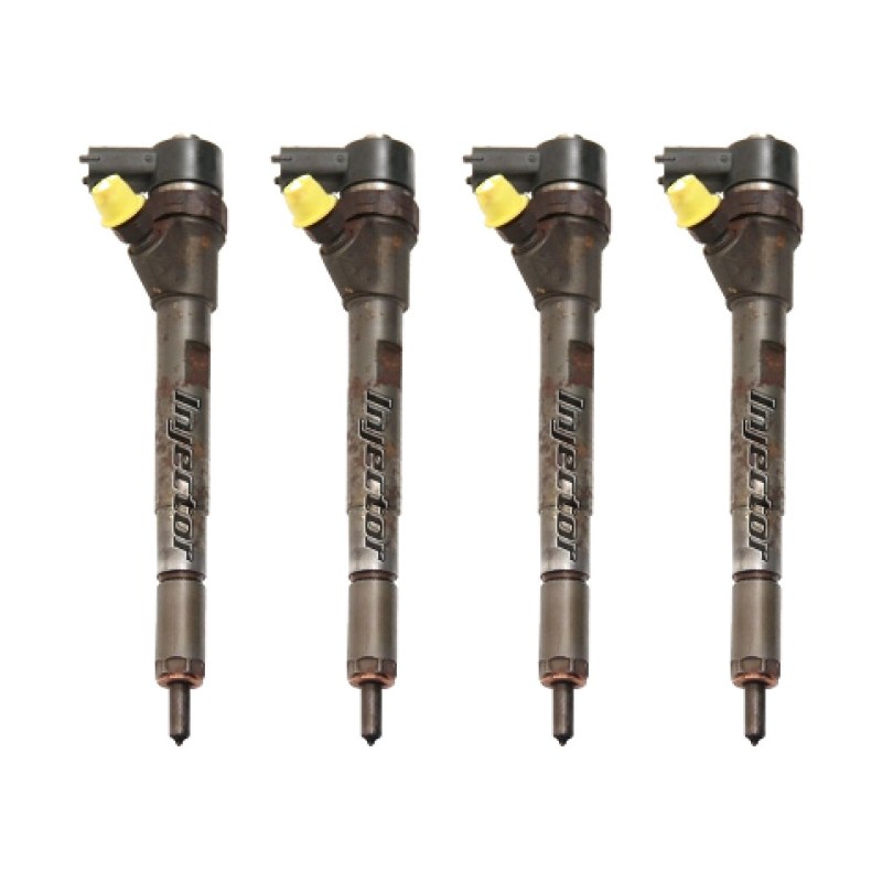 Kia Bongo 2.9 TDCi 4x4 90 KW 122 HP BOSCH 33800-4A300 kit di 4 iniettori usati 338004A300
