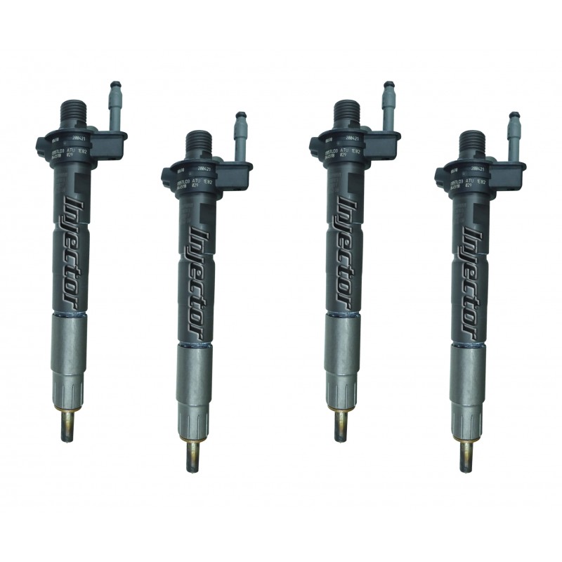 Bmw X6 xDrive30d 195 KW 265 HP BOSCH 8571566 kit di 4 iniettori usati 13538571565